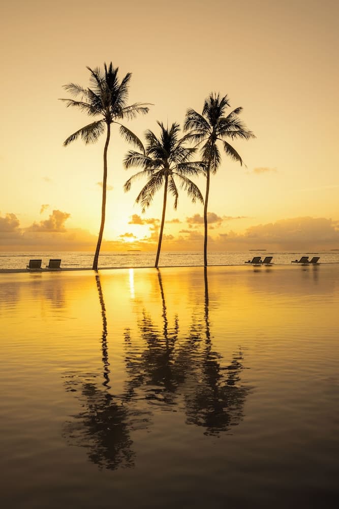 Ifuru Island Maldives - FREE Domestic Flight Transfer for 1 Person with a Minimum 5 Night Stay between 20th April and 15th October - View 36